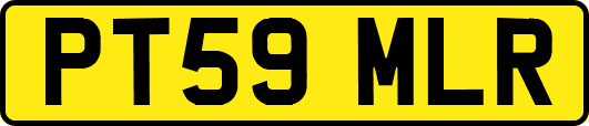 PT59MLR