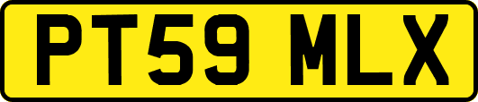 PT59MLX