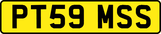 PT59MSS