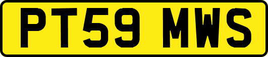 PT59MWS