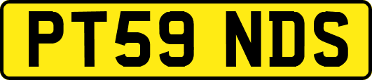 PT59NDS