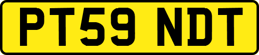 PT59NDT