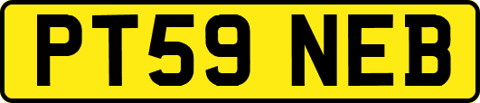 PT59NEB