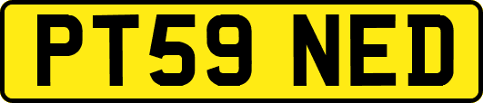 PT59NED