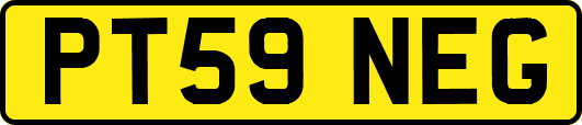PT59NEG
