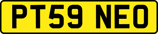 PT59NEO