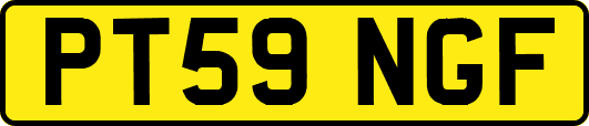 PT59NGF