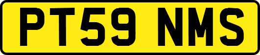 PT59NMS