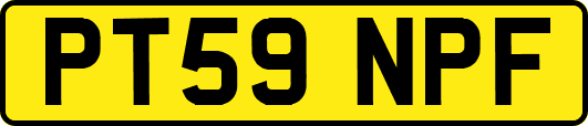 PT59NPF