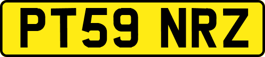 PT59NRZ