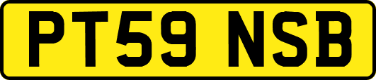 PT59NSB