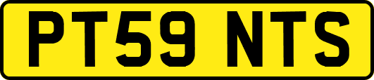 PT59NTS
