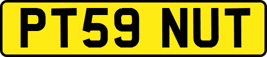 PT59NUT