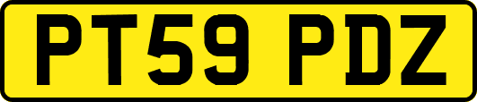 PT59PDZ