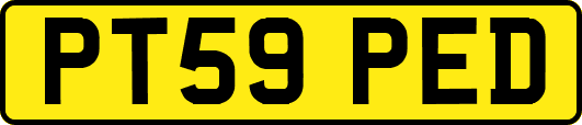 PT59PED