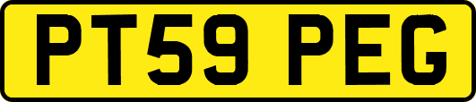 PT59PEG