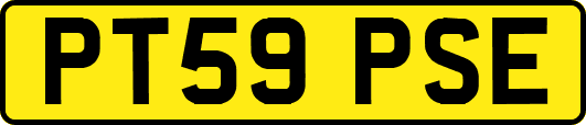 PT59PSE