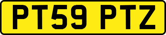 PT59PTZ