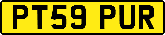 PT59PUR