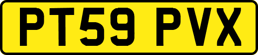 PT59PVX