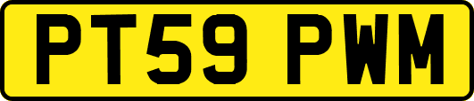 PT59PWM
