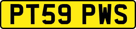 PT59PWS