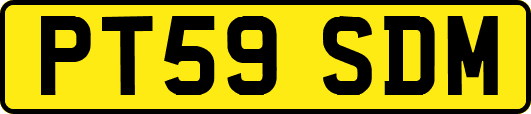 PT59SDM