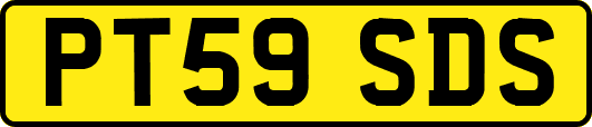 PT59SDS