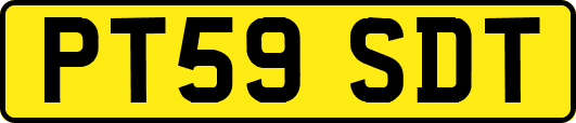 PT59SDT