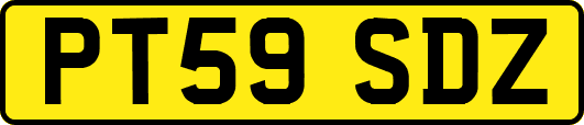PT59SDZ
