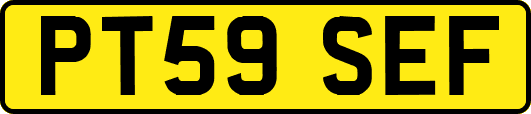PT59SEF