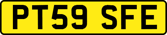 PT59SFE