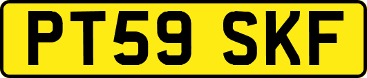 PT59SKF