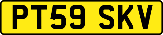 PT59SKV