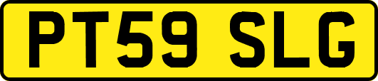 PT59SLG