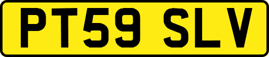 PT59SLV