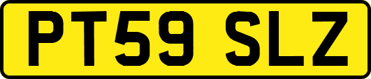 PT59SLZ