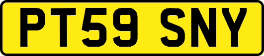 PT59SNY