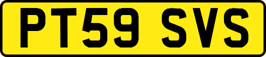 PT59SVS