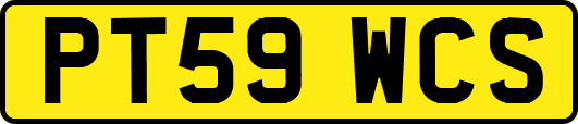 PT59WCS