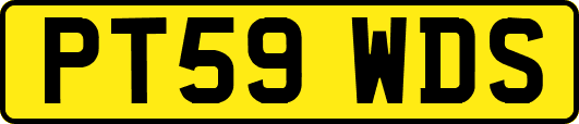 PT59WDS