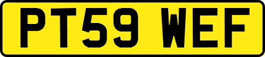 PT59WEF