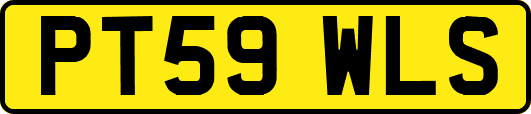 PT59WLS