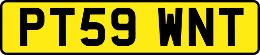 PT59WNT