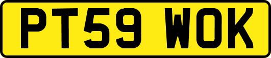 PT59WOK