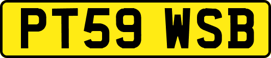 PT59WSB