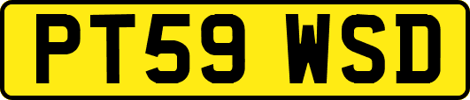 PT59WSD