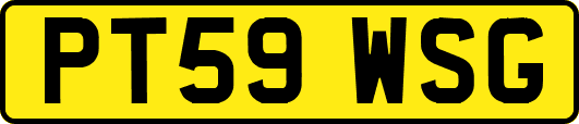PT59WSG