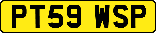 PT59WSP