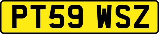 PT59WSZ